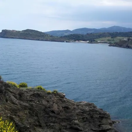 Lejlighed En Bord De Avec Piscine Saint-Cyprien (Pyrenees-Orientales)