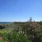 En Bord De Avec Piscine * Saint-Cyprien (Pyrenees-Orientales)